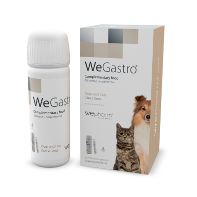WeGastro oraalisuspensio 60 ml