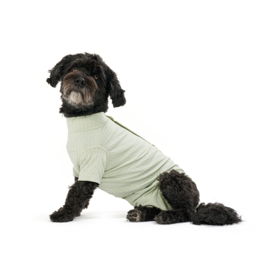 Buster toipilaspuku Stepn Go koirille M, Vihreä 1 kpl