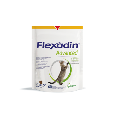 Flexadin advanced kissoille 60 purutabl