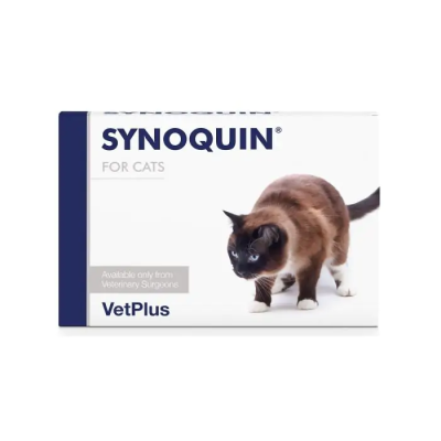 Synoquin EFA Cat kaps 90 kpl