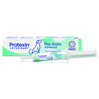 Pro-Kolin Advanced koira 60 ml