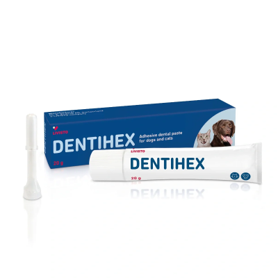 Dentihex kiinnittyvä hammasgeeli 20 g