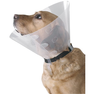 Buster Clic kauluri läpinäkyvä 20 cm 10 kpl