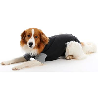 BUSTER Body Suit 26/36cm XXS 1 kpl