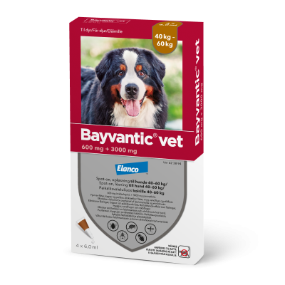 BAYVANTIC VET paikallisvaleluliuos 3000/600 mg koirille 40–60 kg 4 kpl
