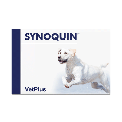 Synoquin EFA Large tabl 120 kpl