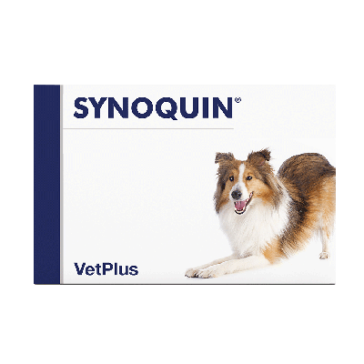 Synoquin EFA Medium kaps 120 kpl