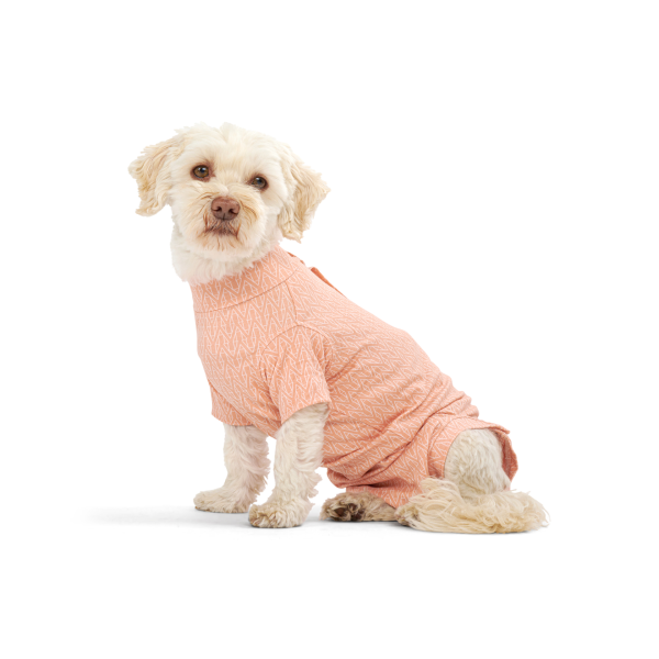 Buster toipilaspuku Stepn Go koirille XS, Oranssi 1 kpl