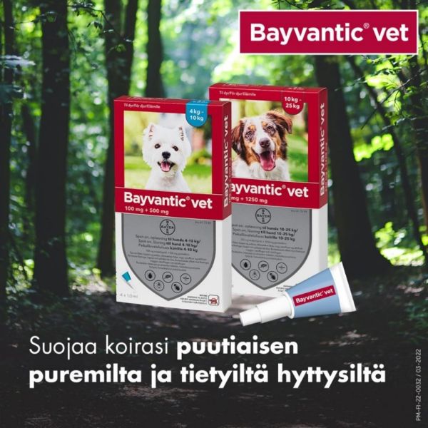 Bayvantic vet paikallisvaleluliuos 500/100 mg koirille 4–10 kg 4 x 1 ml
