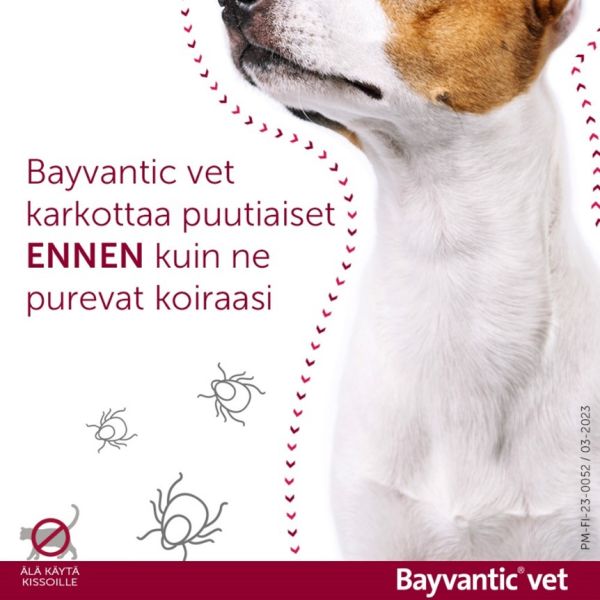 Bayvantic vet paikallisvaleluliuos 1250/250 mg koirille 10–25 kg 4 x 2.5 ml
