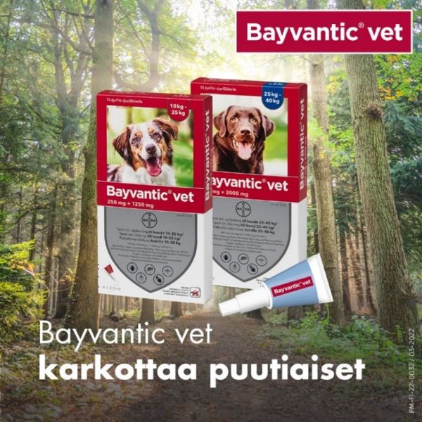 Bayvantic vet paikallisvaleluliuos 1250/250 mg koirille 10–25 kg 4 x 2.5 ml