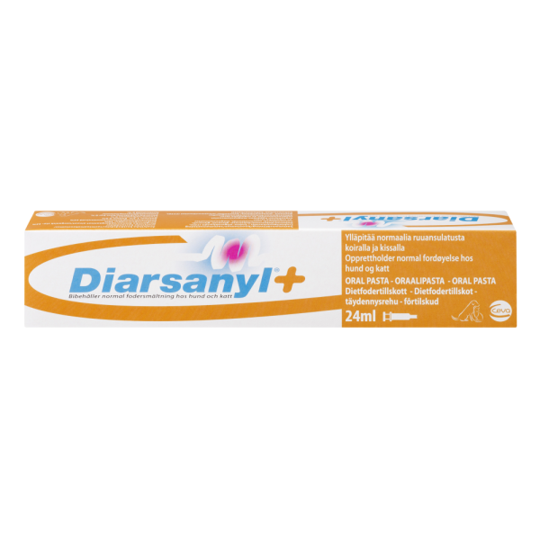 DIARSANYL PASTA 24 ml