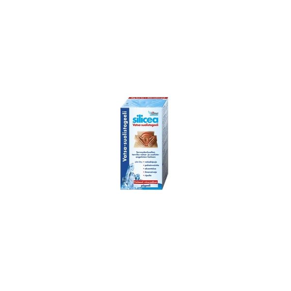 Hübner Silicea Vatsa-suolistogeeli 500 ml