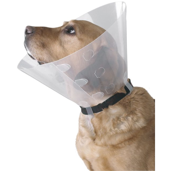 Buster Clic kauluri läpinäkyvä 15 cm 10 kpl