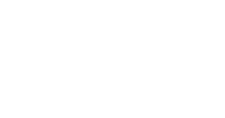 Absolut Torr