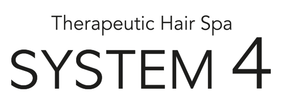 System4