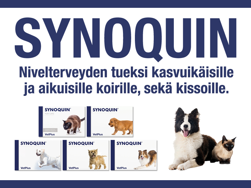 Synoquin