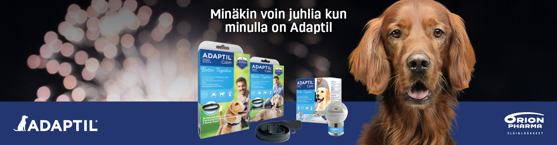 Corgi ja kissa kuvassa. Lemmikkien kampanjat nyt voimassa OmaeApteekissa