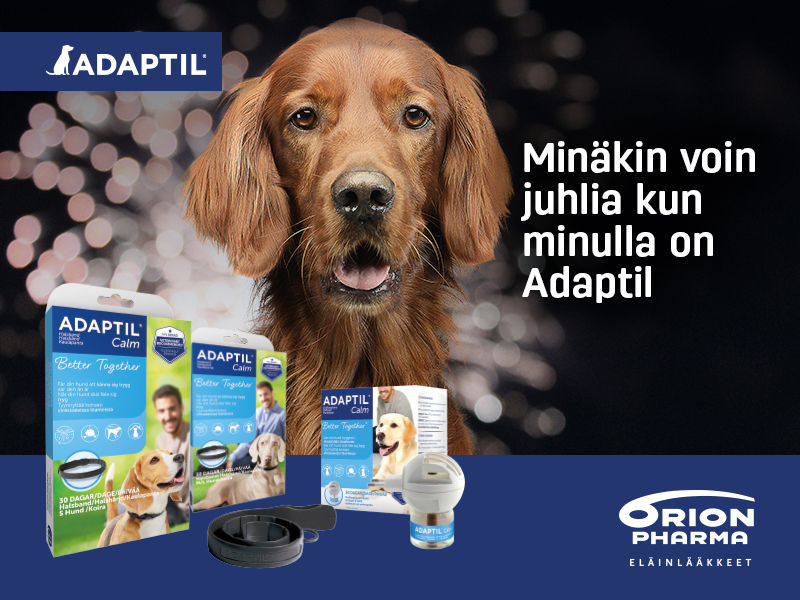 Corgi ja kissa kuvassa. Lemmikkien kampanjat nyt voimassa OmaeApteekissa