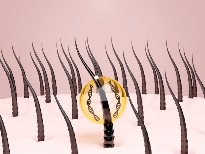 Hiustupit riviss&auml; kasvamassa