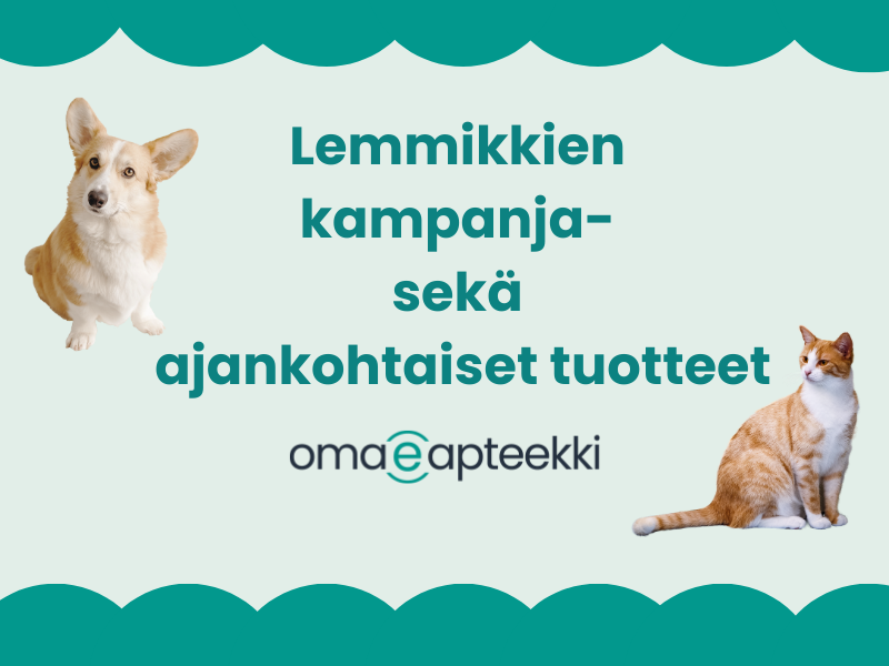 Corgi ja kissa kuvassa. Lemmikkien kampanjat nyt voimassa OmaeApteekissa