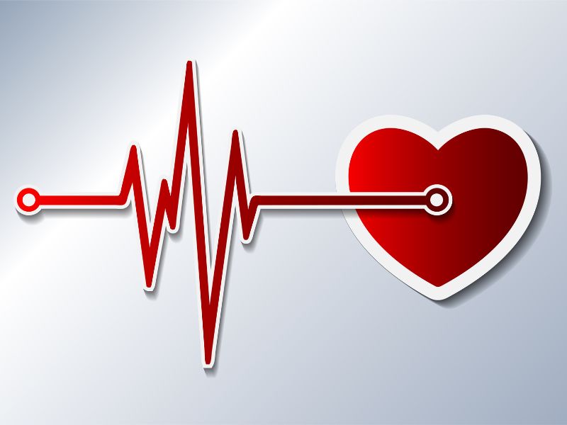 Syd&auml;n ja syd&auml;nk&auml;yr&auml;